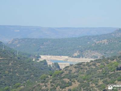 Pinares de Navas del Rey; besaya nacimiento rio sil ribeira sacra cañones del sil donde nacen los ri